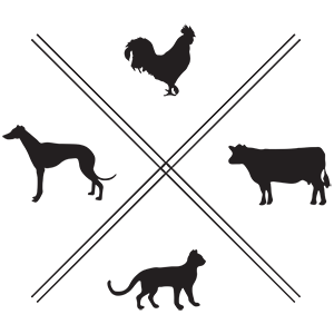 Roxbury Animal Clinic Favicon