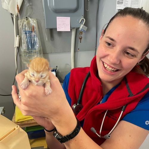 Dr. Devon Gilliam, DVM