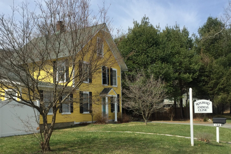Roxbury Animal Clinic