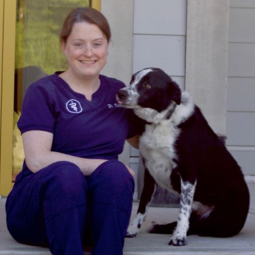 Dr.-Sarah-Timm